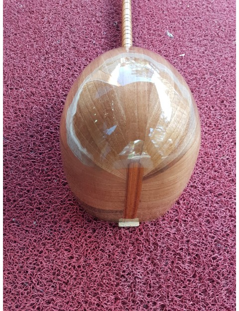 Ceviz Ağacı Öğrenci Bağlaması